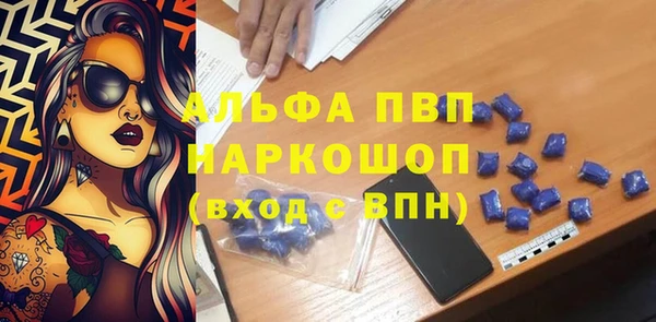 спайс Чекалин